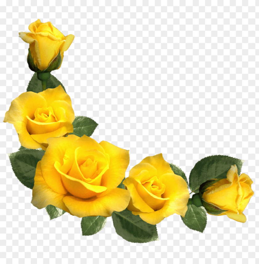 beautiful yellow roses decor