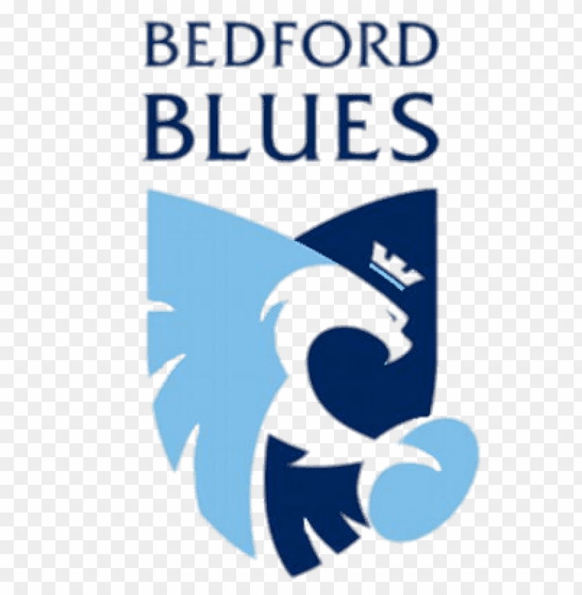 sports, rugby teams, bedford blues rugby logo, 