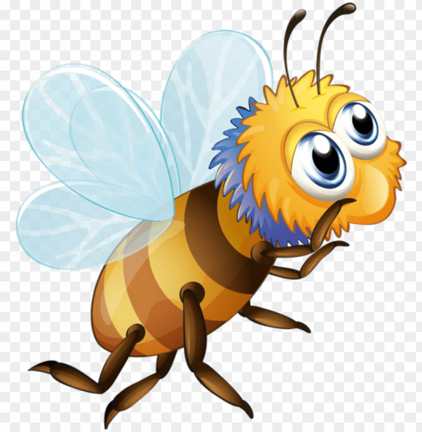 free PNG bee clipart, buzz bee, free vector images, vector free, - bee popcor PNG image with transparent background PNG images transparent