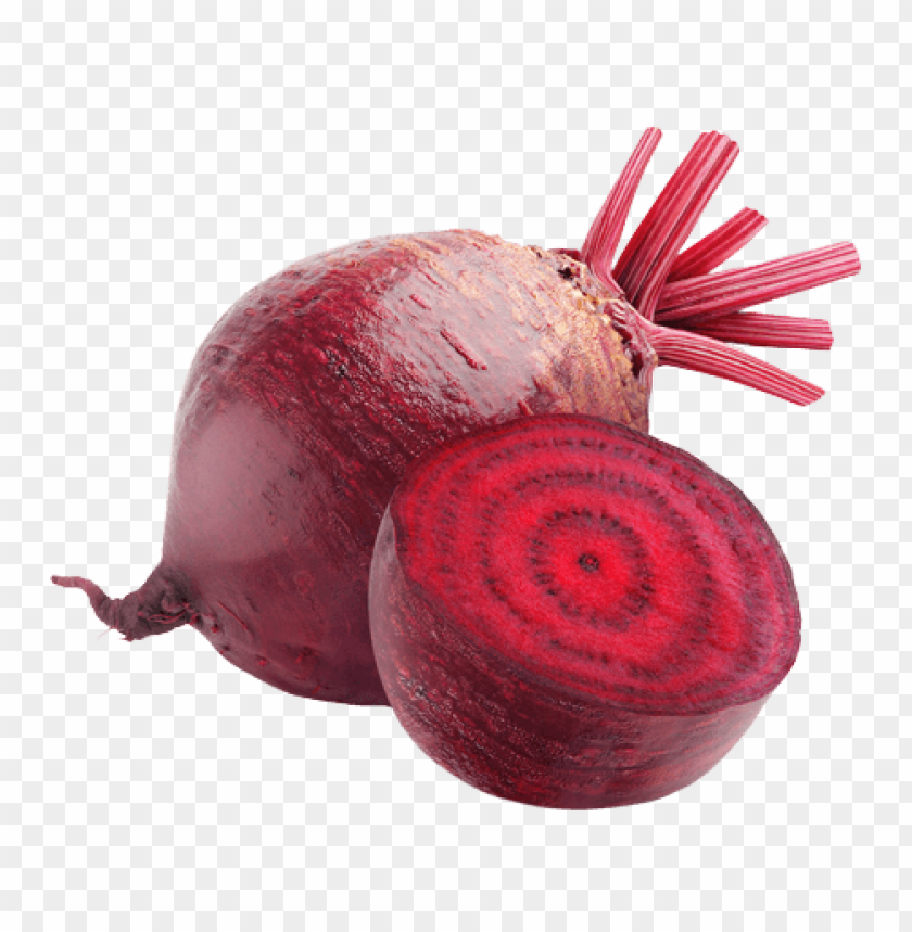 
beet
, 
carrot-shaped root
, 
red beetroot
, 
root vegetable
