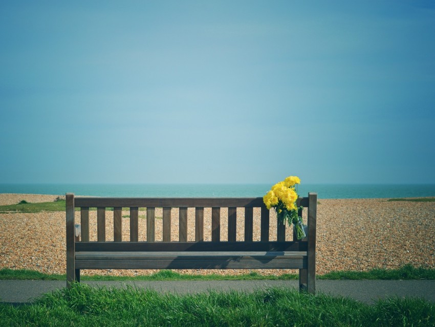 bench, bouquet, flowers, yellow, beach