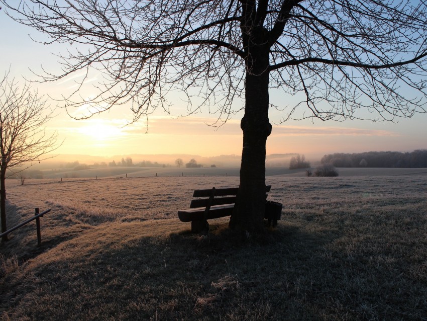 bench, dawn, frost, winter, solitude, silence