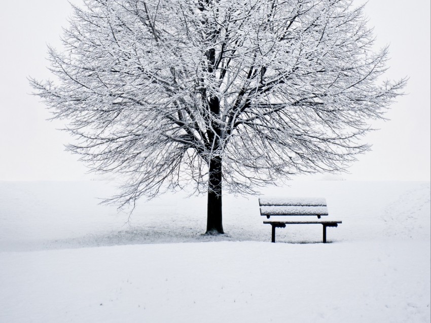 bench, snow, winter, wood, minimalism