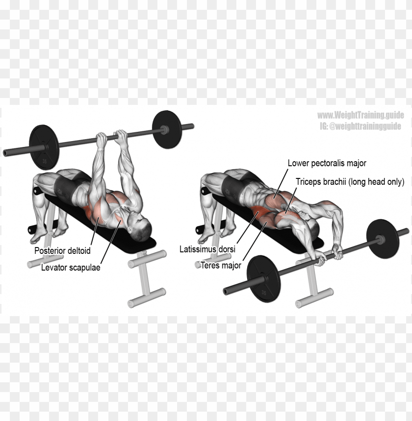 Bent Barbell Clipart Png Photo - 38758