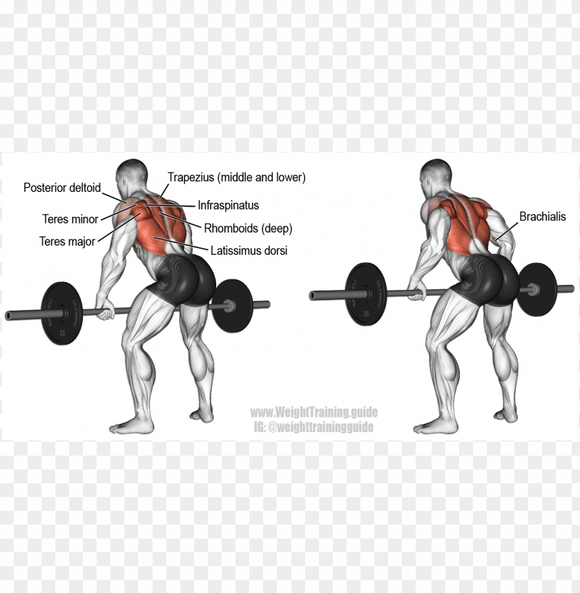 Bent Barbell Clipart Png Photo - 39260