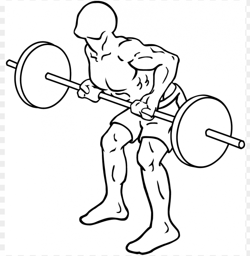 Bent Barbell Clipart Png Photo - 39268