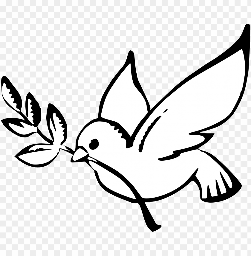 Front Flying Dove Of Peace Simple Line Drawing Peace Dove Olive Branch  Peace PNG Transparent Clipart Image and PSD File for Free Download