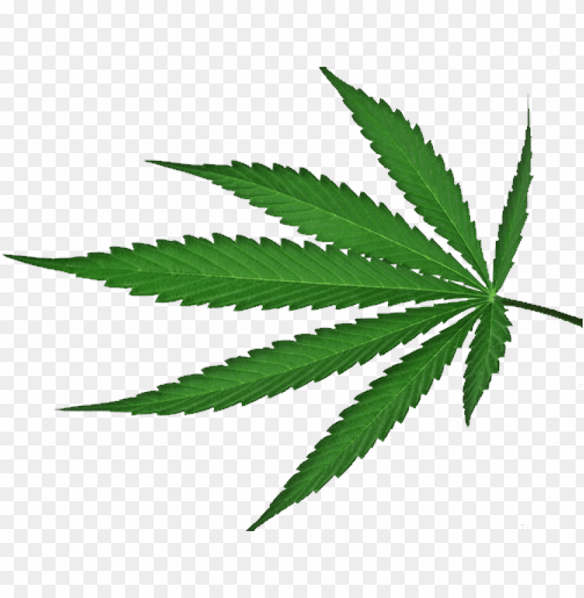 free PNG best free cannabis icon png - cannabis leaf green transparent background PNG image with transparent background PNG images transparent