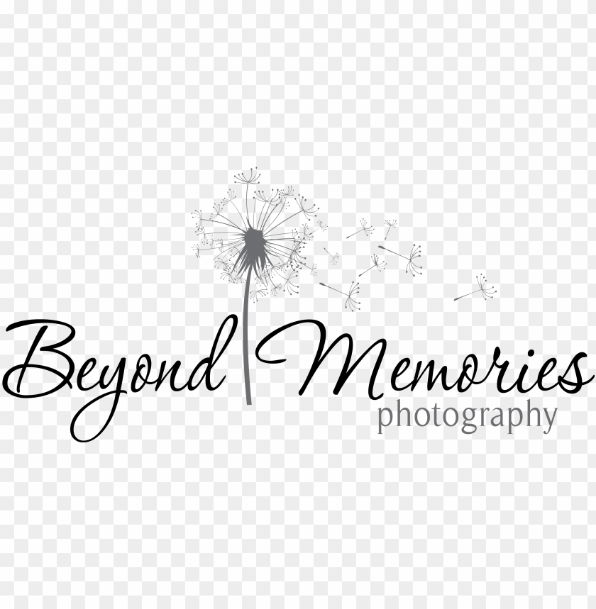 future, camera, memory, photo, above, photography logo, memorial