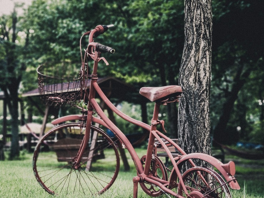 bicycle, vintage, decoration, garden