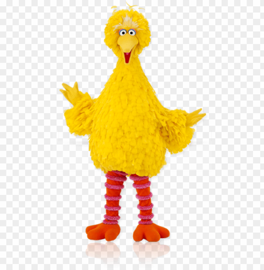 Big Bird High Resolution PNG Transparent With Clear Background ID 88639