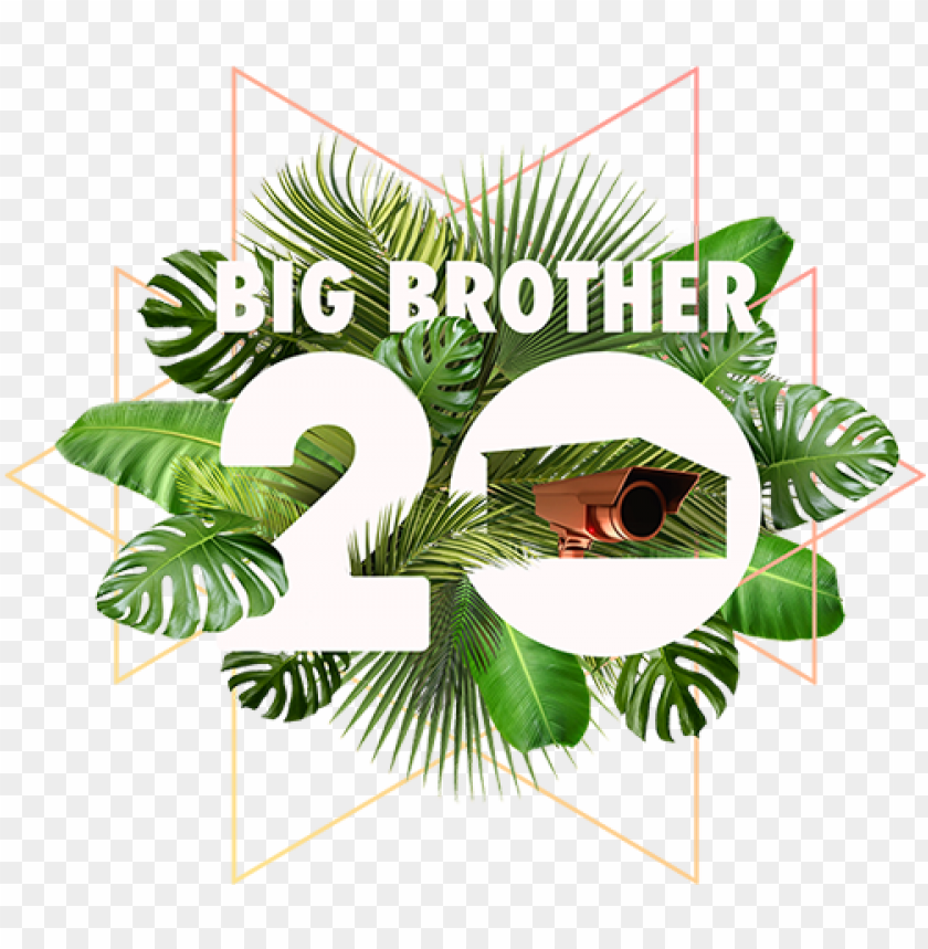 big brother - big brother season 20 episode 1 PNG image with transparent background@toppng.com