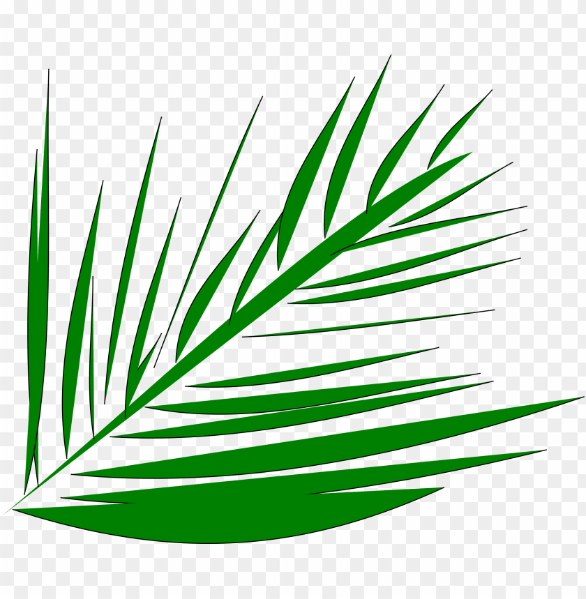 big image palm leaves transparent clipart PNG transparent with Clear Background ID 205446