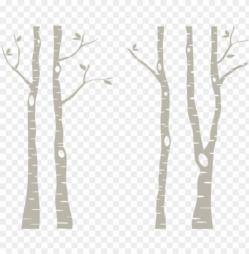 Birch Trees Png White, Birch Tree Background Clipart
