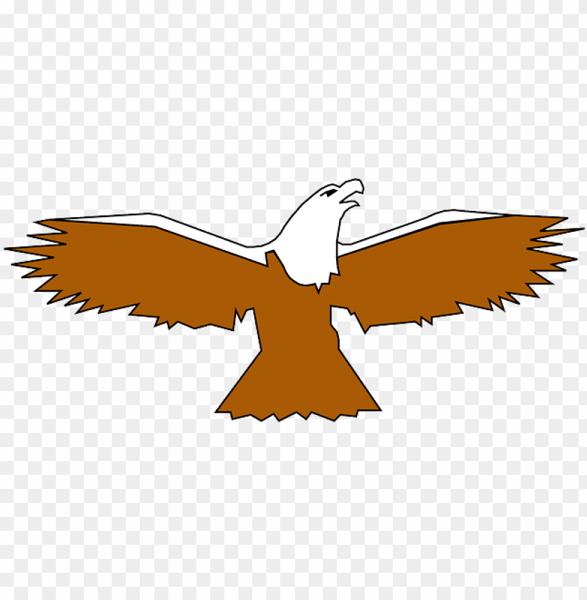 bird wings, eagle wings, phoenix bird, twitter bird logo, big bird, flappy bird pipe