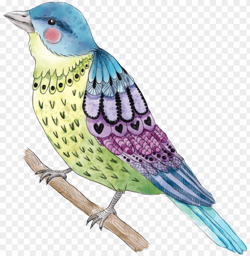 phoenix bird, twitter bird logo, big bird, bird wings, flappy bird pipe, bird