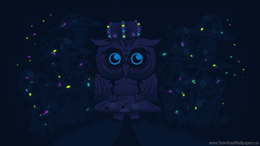 bird black owl predator wallpaper background best stock photos - Image ID 145257