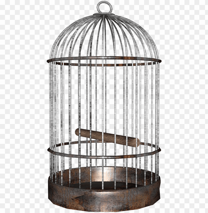 
cage
, 
mesh
, 
wires
, 
animal
, 
bird
