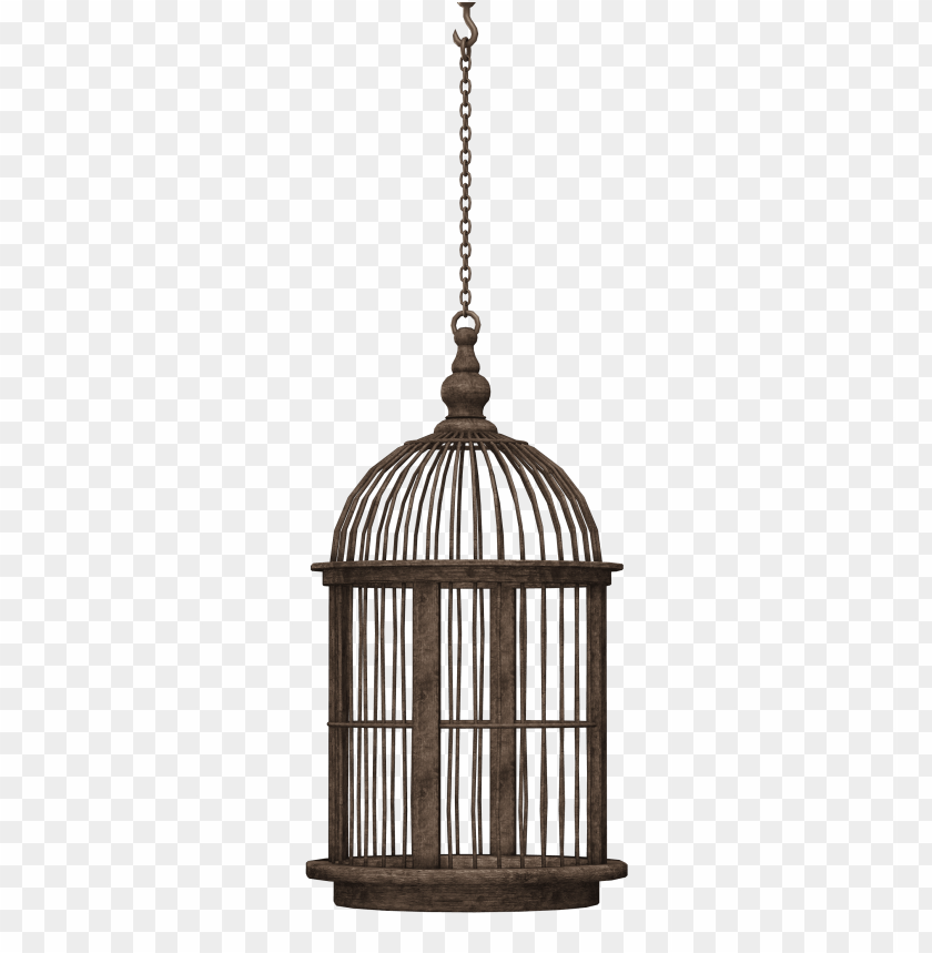 
objects
, 
bird cage
