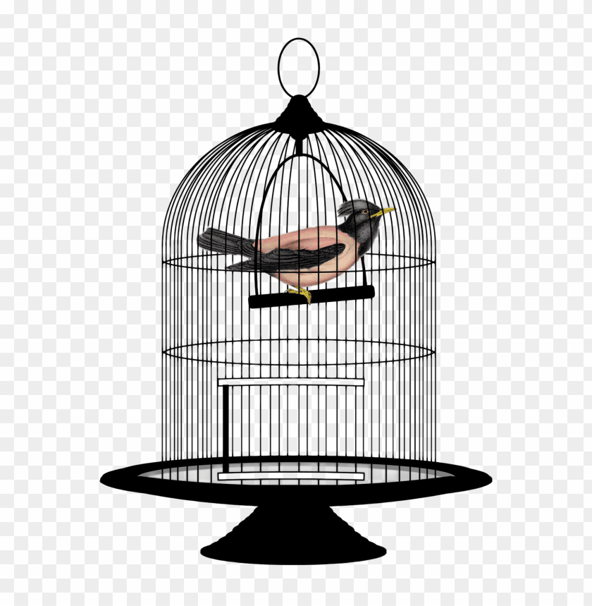 
clipart
, 
bird cage
, 
object
, 
bird
, 
cage

