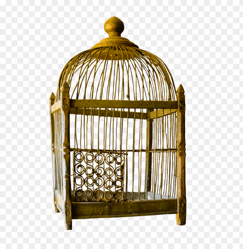 animals, birds, various birds, bird cage, 
