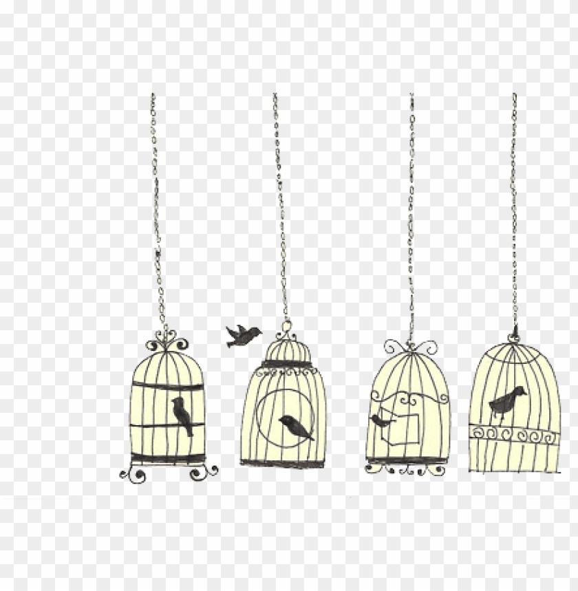 Singing Bird in Cage Drawing by CSA Images - Pixels