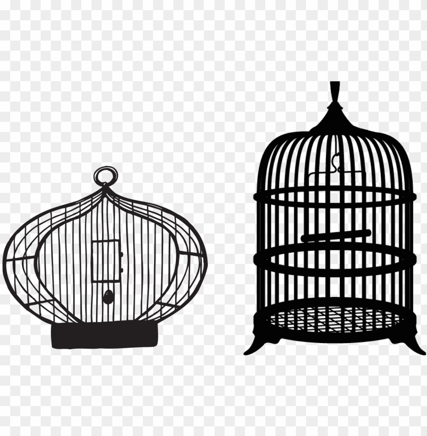 phoenix bird, twitter bird logo, big bird, steel cage, bird wings