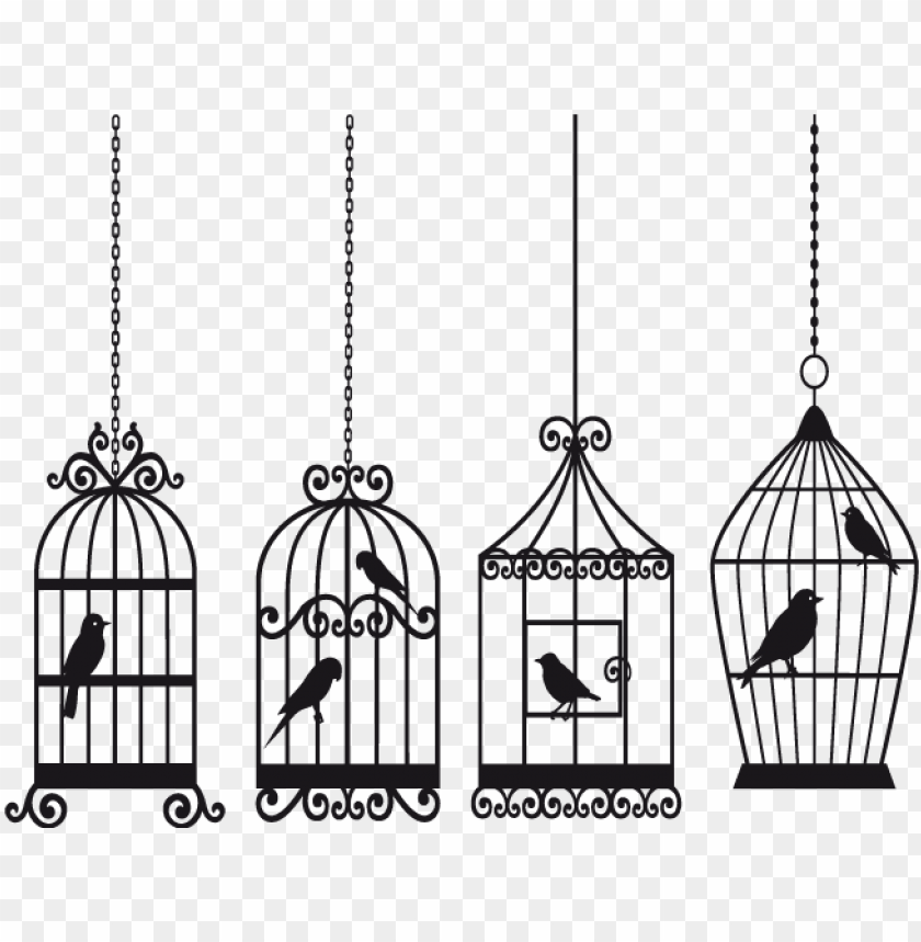birds, background, vintage, banner, nature, logo, bird cage