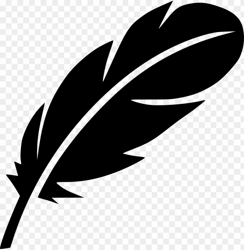 feather pen, phoenix bird, twitter bird logo, feather silhouette, big bird, feather vector