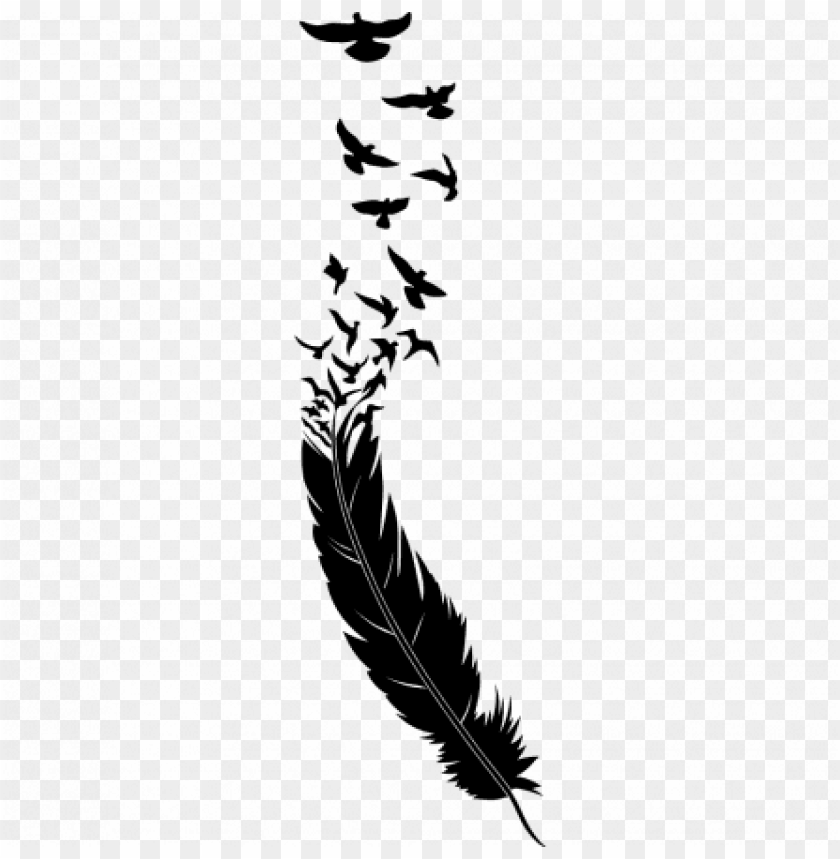 Feather Tattoo Which One Should You Get