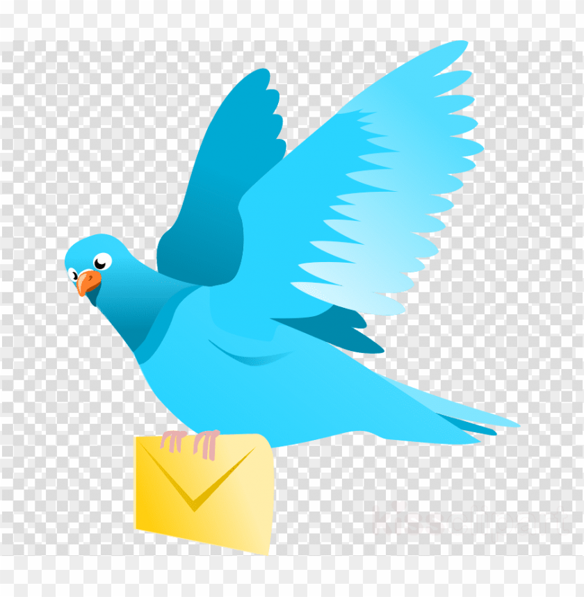 Bird Flying PNG Image With Transparent Background