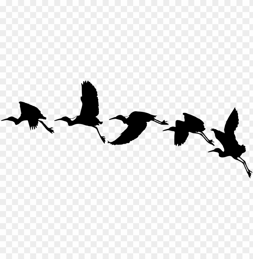 big bird, superman flying, big red x, phoenix bird, twitter bird logo, flying cat
