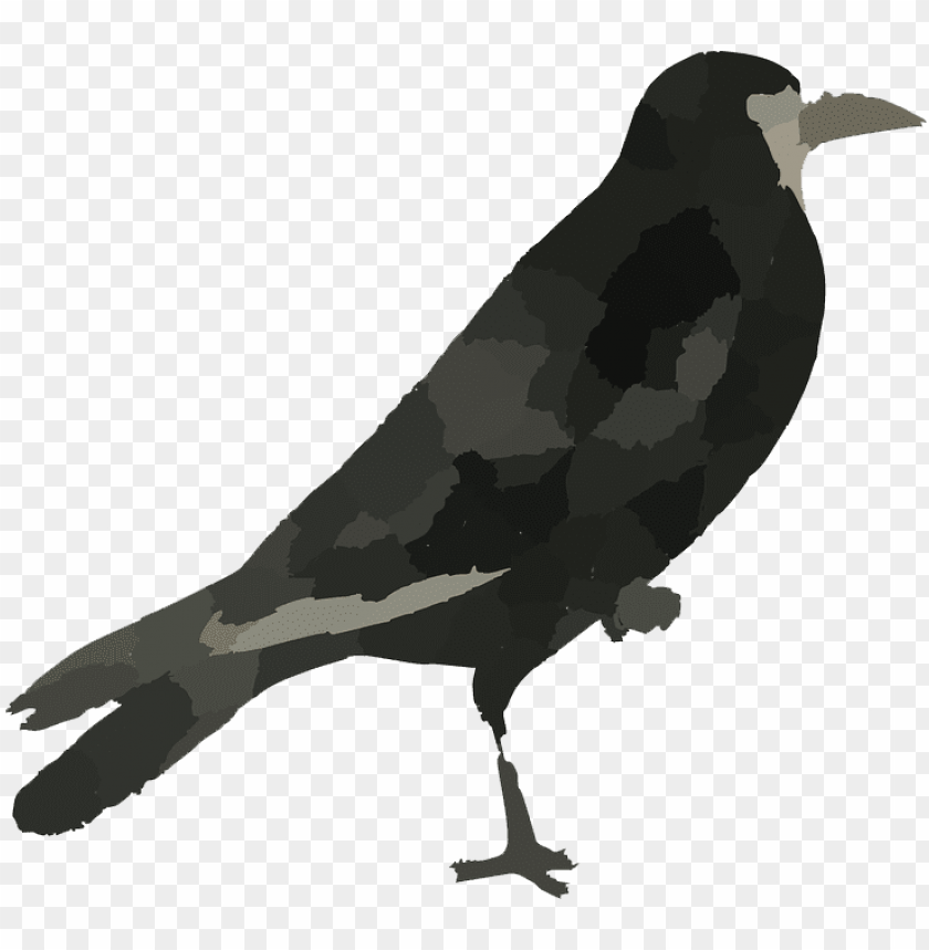 phoenix bird, twitter bird logo, hd, big bird, bird wings, flappy bird pipe
