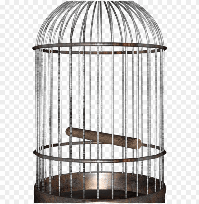 bird cage, phoenix bird, twitter bird logo, big bird, bird wings, flappy bird pipe