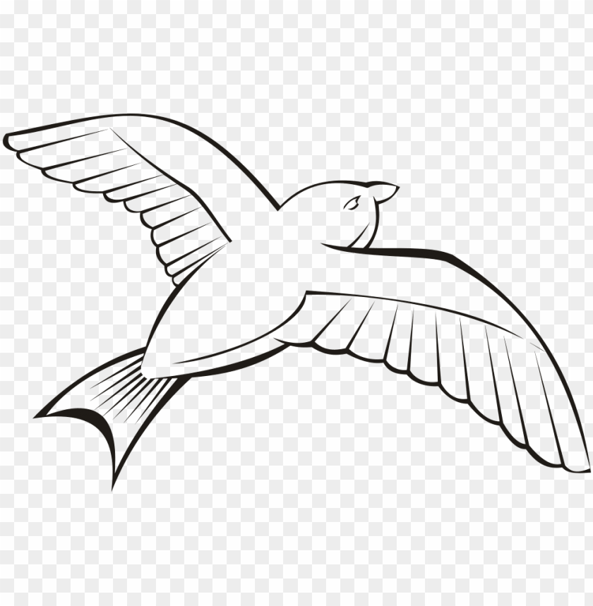 Bird In Flight 6 Outline Image Of Bird PNG Image With Transparent Background