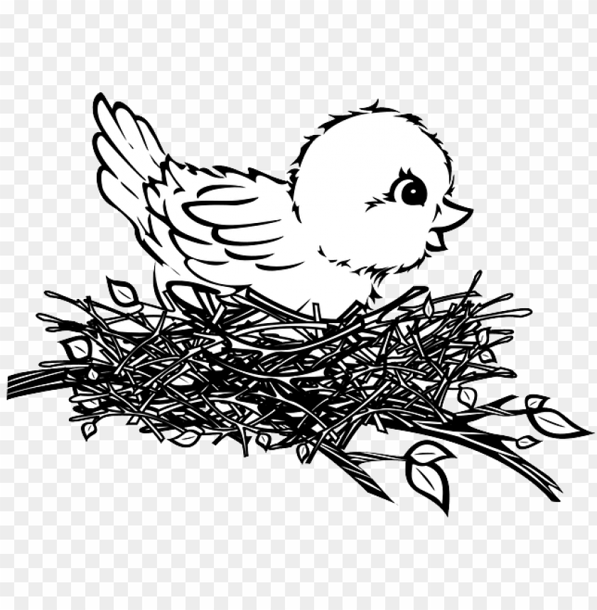 Bird In Nest PNG Transparent With Clear Background ID 89471