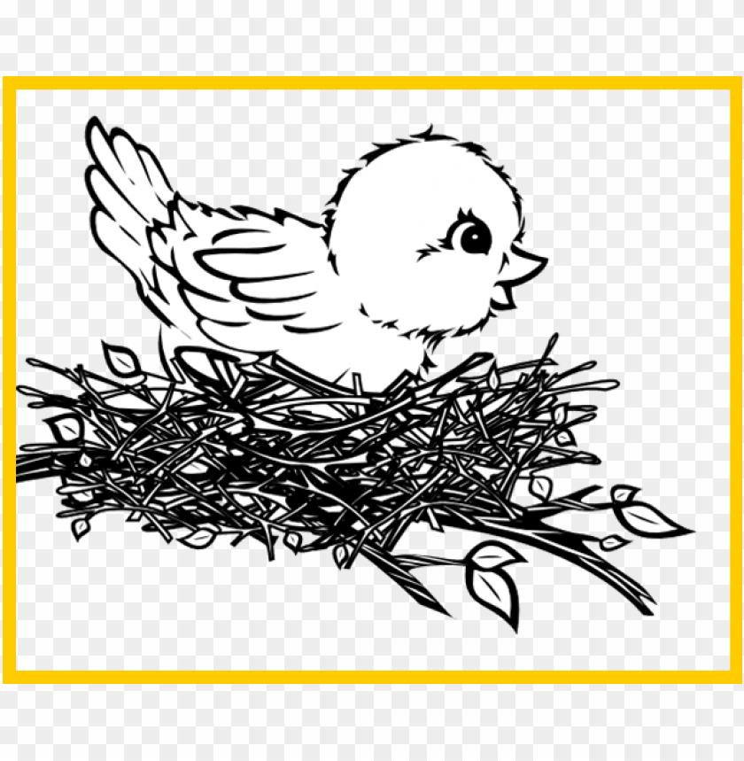 Bird In Nest PNG Transparent With Clear Background ID 89473
