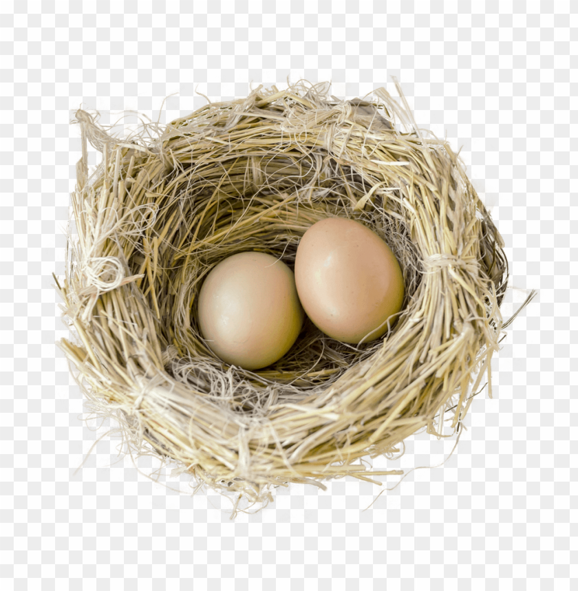 Bird Nest Png Images Background - Image ID 5713
