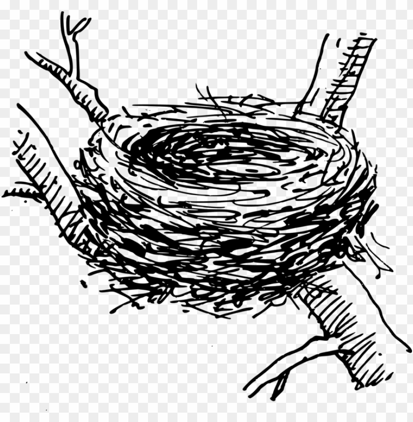 Bird Nest Computer Icons Egg - Crow Nest Clipart PNG Transparent With Clear Background ID 239010