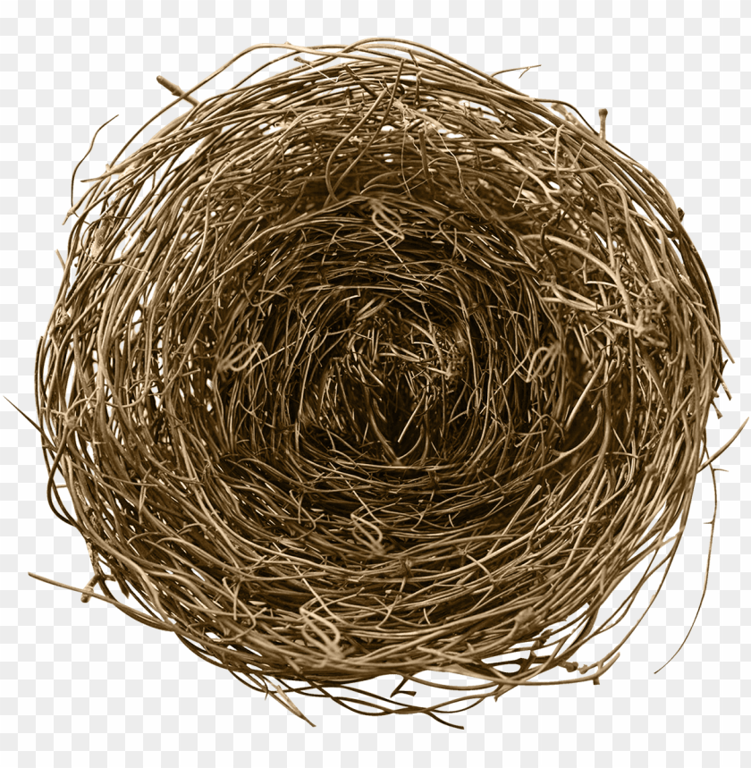 free PNG bird nest png - bird PNG image with transparent background PNG images transparent