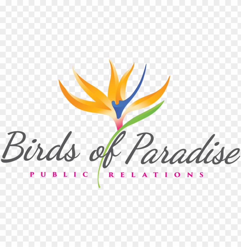 birds, tropical, illustration, leaf, nature, summer, background