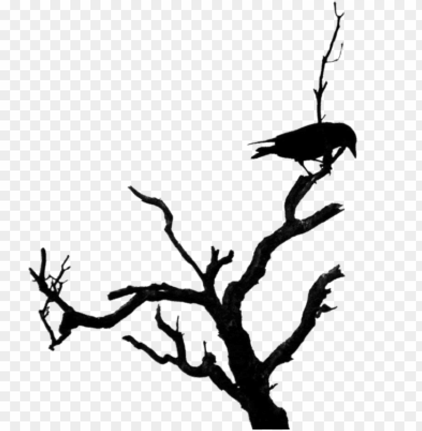 Dead Bird PNG, Vector, PSD, and Clipart With Transparent