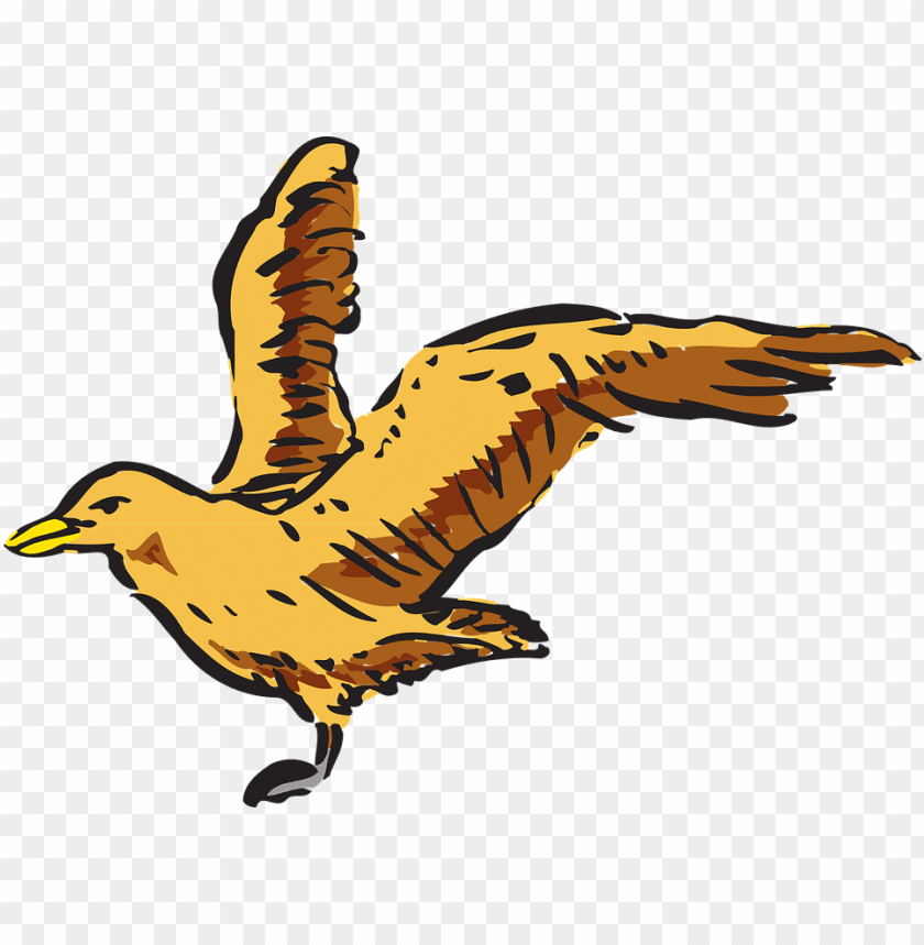 car side view, phoenix bird, twitter bird logo, big bird, car side, people top view
