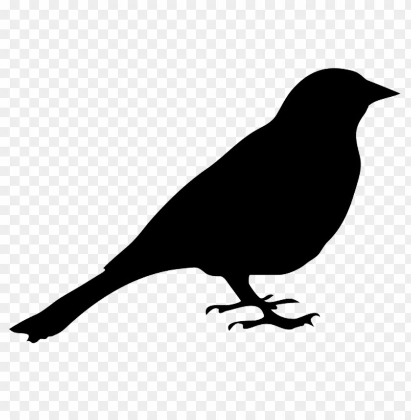 animals, birds, bird silhouettes, bird silhouette, 