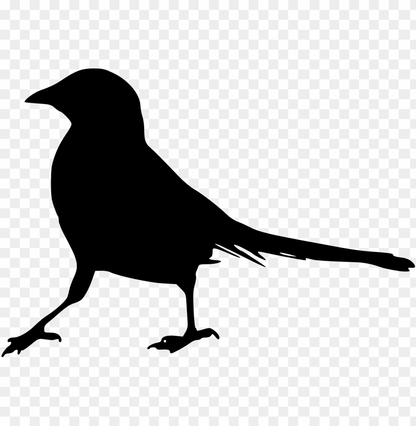 download button, download on the app store, phoenix bird, twitter bird logo, big bird, bird wings