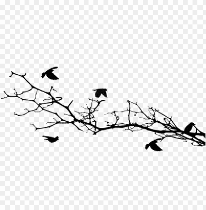 animals, birds, bird silhouettes, bird silhouettes on a branch, 