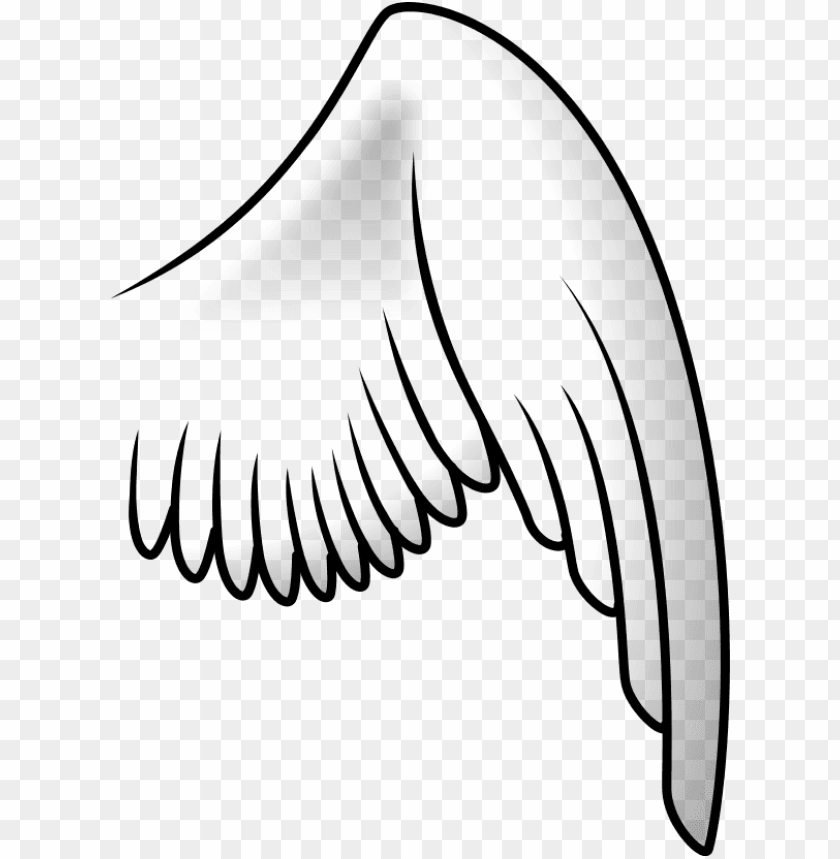 free PNG bird wing PNG image with transparent background PNG images transparent