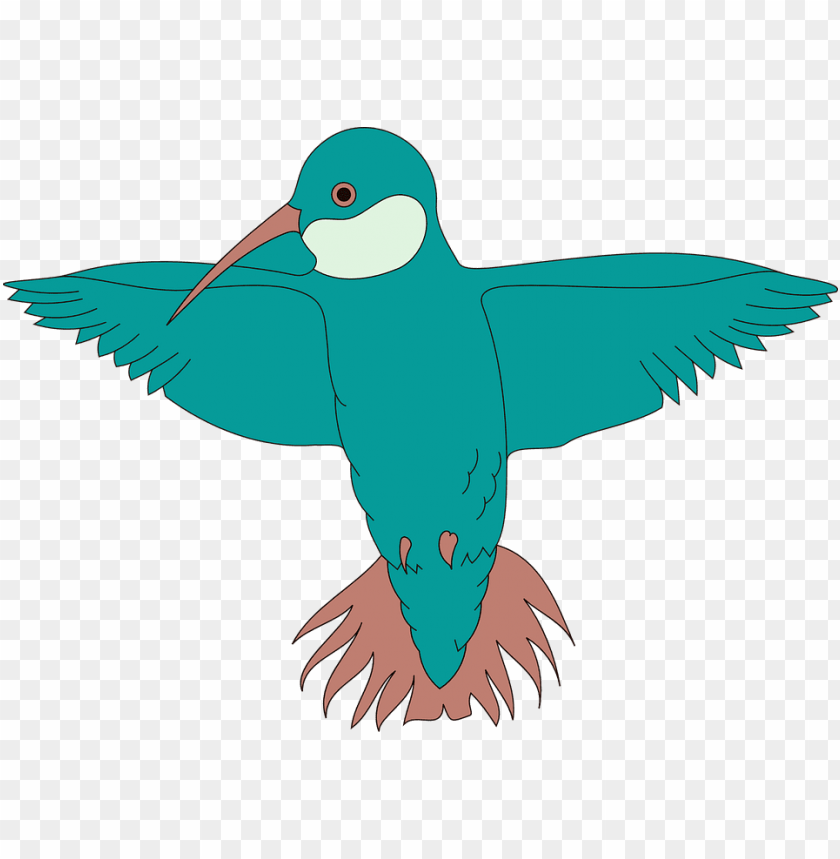 hummingbird, royalty, phoenix bird, twitter bird logo, wing, big bird
