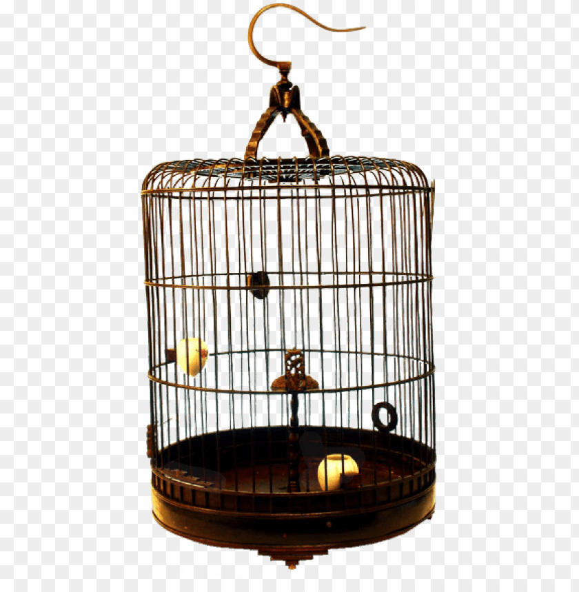 bird cage, base, phoenix bird, twitter bird logo, big bird, steel cage