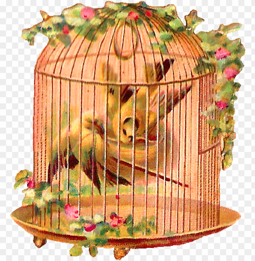 cage, paper, animal, template, background, scrapbook, flowers